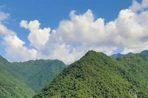 Green refreshing view of the mountain to relax Green refreshing view of the mountain to relax