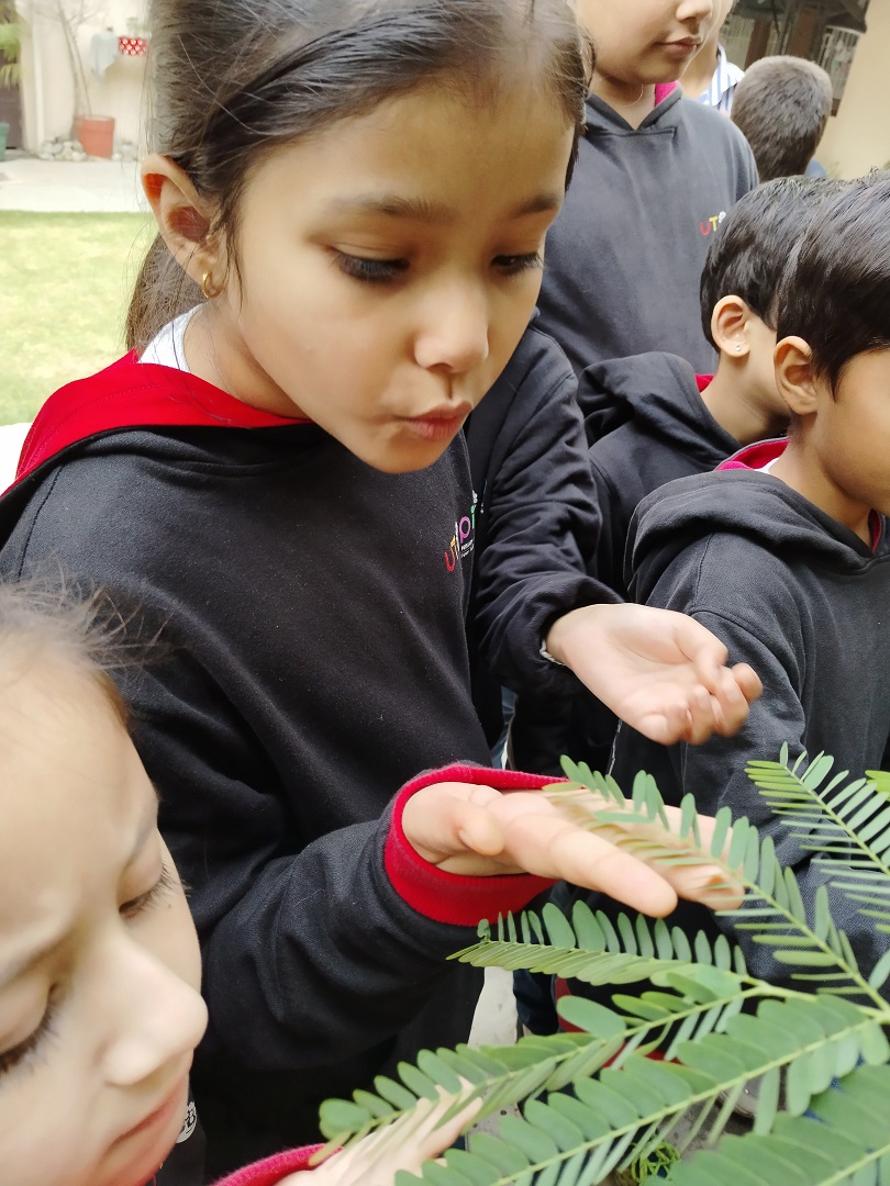girls boarding school